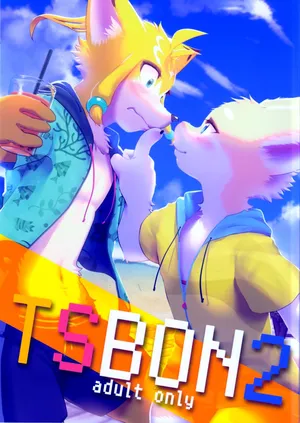 TSBON 2