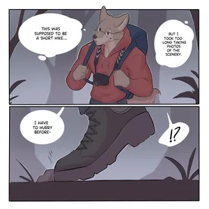 [Wolfanine] A Late Hike (OC)