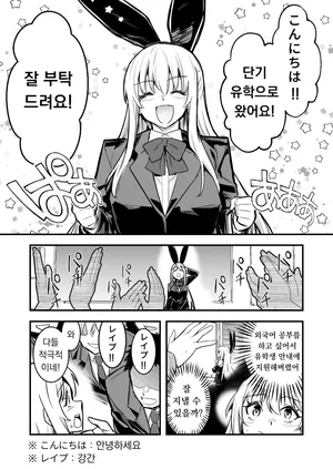 [LeftHand] Ryuugaku Saki de Netsuretsu Kangei Sarechau Boukensha-chan | 유학 간 곳에서 뜨겁게 환영받는 모험가짱