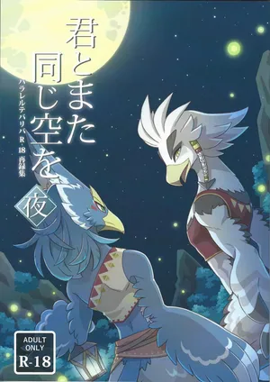 [Asobu (Hito no tomarigi)] Kimi to mata onaji sora o yoru (Legend of Zelda)