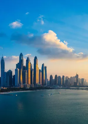 [Ackerman] 我的皮物後宮生活01