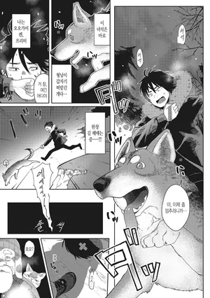 [Siooninco] Dog Girl Wolf Boy | 도그 걸 울프 보이 (COMIC X-EROS #83) [Decensored] [Korean] [Digital]