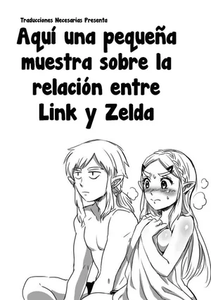 [Wasabi] Link to Zelda no Shoshinsha ni Yasashii Sex Nyuumon | Aquí una Pequeña Lección sobre la Relación de Link y Zelda (The Legend of Zelda: Breath of the Wild) [Español] [Traducciones necesarias]