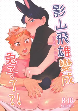 [HO] Tobio Kageyama Turned Into a Rabbit?! (Haikyuu!!) [Chinese]