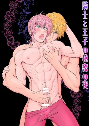 The Knight and the Prince's Secret Night (Kishi to ōji no himitsu no yoru)