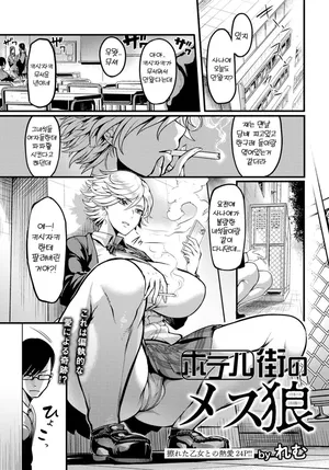 모텔촌의 암컷 늑대