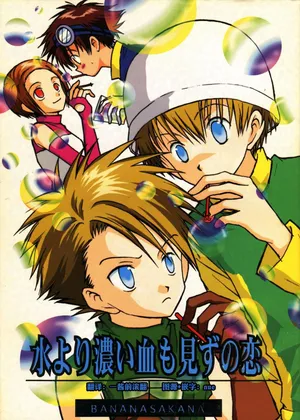 [BANANA SAKANA (Kasai Sakana)] Love without seeing blood thicker than water (Digimon Adventure 02)