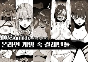 [LUXsumildo] 온라인 게임 속 걸레년들 표지