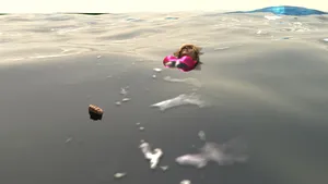 [Chicagamer21331]  vore