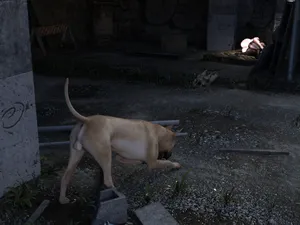 [夏不夏亚] 欲求不满人妻李梦珍 深夜露出 - 狗子篇