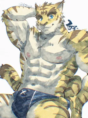 [41raco/S1raco/Shirako] 41raco Morenatsu Art Collection