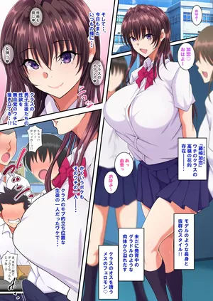 [Toku Yakusou] Kan'i-gata-sei Dōi Apuri 『Pa Koru』