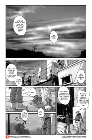 A Forest Where the Rain Goes Up