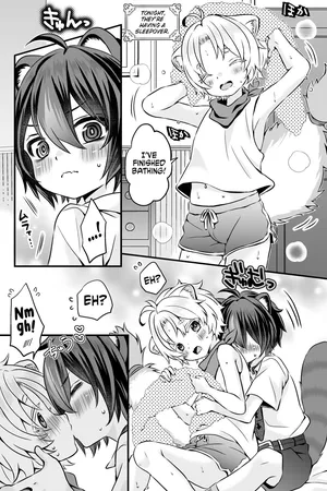 [Rushichi] Araiguma to Ferret no Otokonoko-tachi no Manga | Ferret and raccoon boys manga [English] [Kinsei Translations] [Decensored]